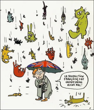 Que signifie l'expression : "Its raining cats and dogs" ?