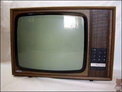 Cette chaîne fut lancé en mars 1986 et s'arrêtera en février 1987. Elle diffusait de la musique et occupait le canal 6, il s'agissait de...