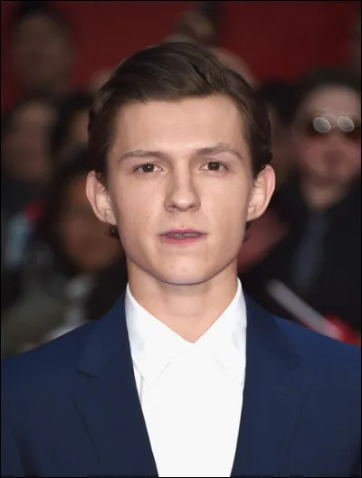 En quelle année a-t-il commencé sa carrière ?