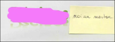 Oui ! Surtout les côtelettes !