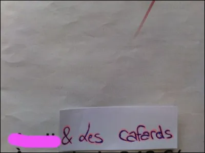 Sacré cafard-naüm !