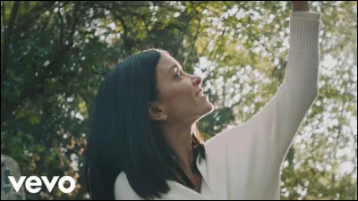 Quelle image se trouve dans le clip de sa chanson "Ma révolution" ?