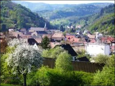 Commune du Grand-Est, dans le parc naturel régional des Ballons des Vosges, Liepvre se situe dans le département ...
