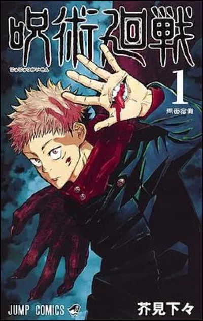Qui est l'auteur de ce manga ?