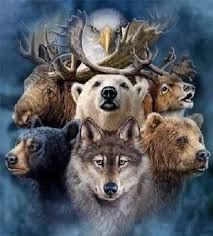 Quiz Animaux