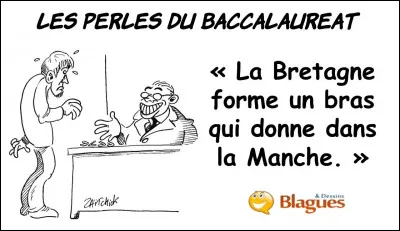 Parlez-moi de la grossesse !