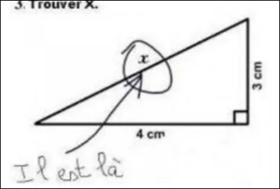 Parlez-moi de la Camargue !