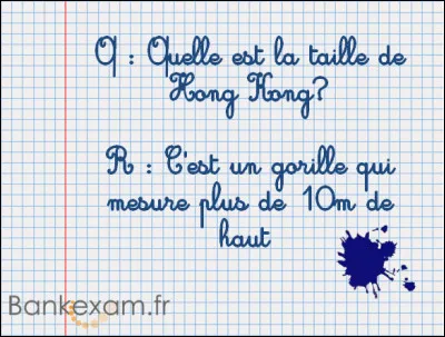 A la question : Qu'est-ce que la mondialisation ? Réponse d'un (ou d'une) candidat ...