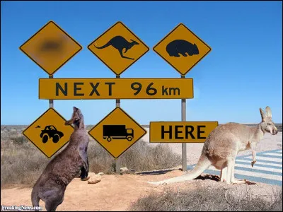 Non, ce n'est pas l'entrée d'un zoo : c'est simplement une route très fréquentée. Quel animal manque à la ménagerie (1er panneau de gauche) ?