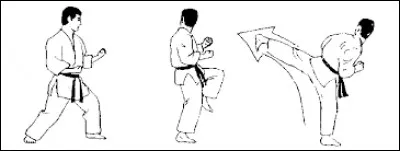 C'est le nom d'un coup porté sans arme à une partie vitale.