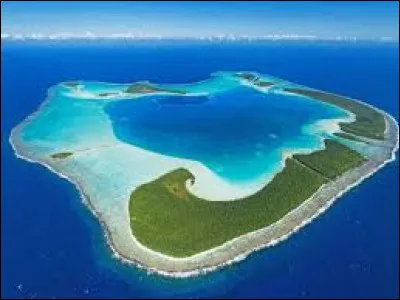 Comment s'appelle ce type d'île corallienne basse des océans tropicaux ?