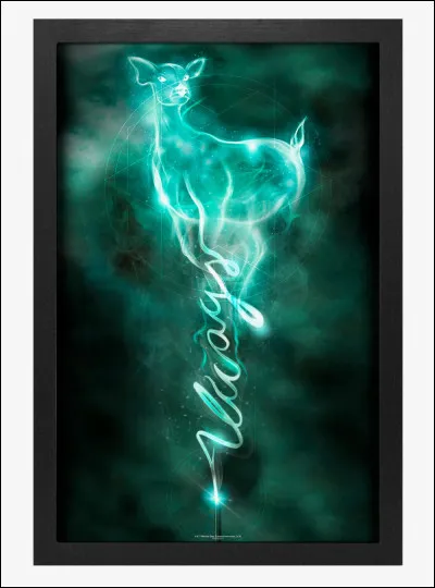 Quel est ton Patronus ?