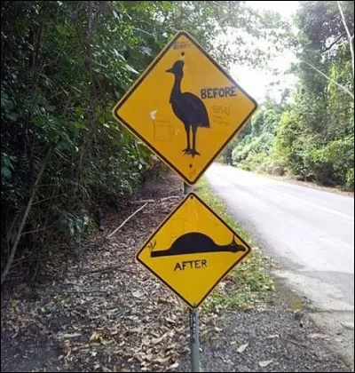 Une chose est sûre : l'émeu émeut...