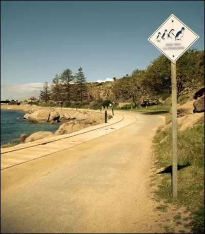 Ici, la faune est tic !