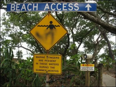 Passons aux choses sérieuses : ici, on vous parle de baignade. Qu'y a-t-il de remarquable ?