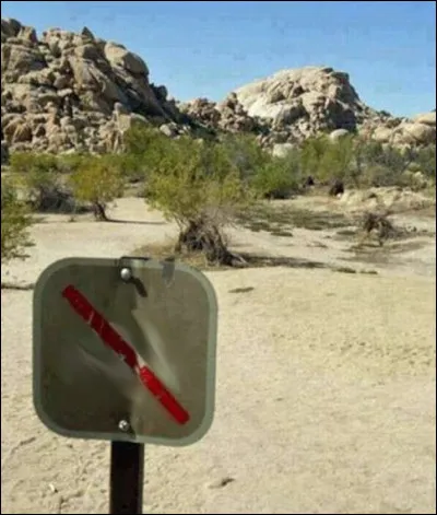 Vous avez droit, ici, à une information de toute première importance : laquelle ?