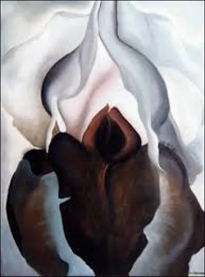 Qu'est-ce qui est représenté sur la tableau "Black Painting" de Georgia O'Keeffe ?