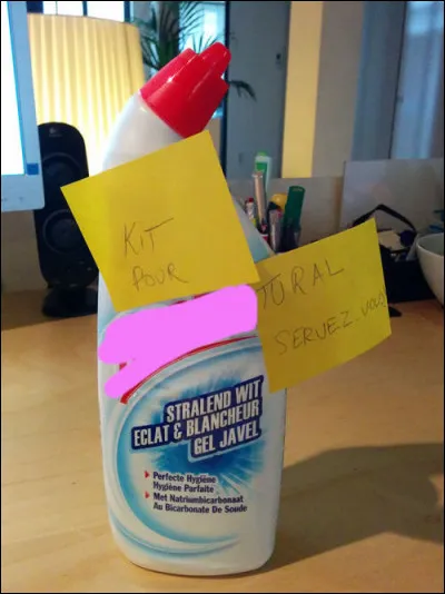 Les travaux domestiques, la nouvelle expression créatrice dans l'espray du temps...