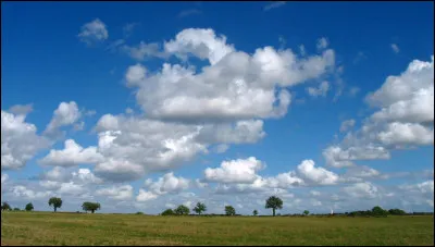 Quel est le nom de ces nuages de beau temps, en photo, dont la base est située à faible altitude ?