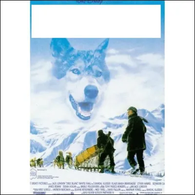 À quel film appartient cette affiche ?