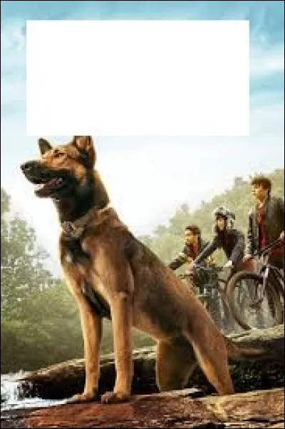 À quel film appartient cette affiche ?