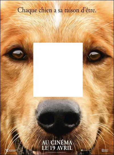 À quel film appartient cette affiche ?