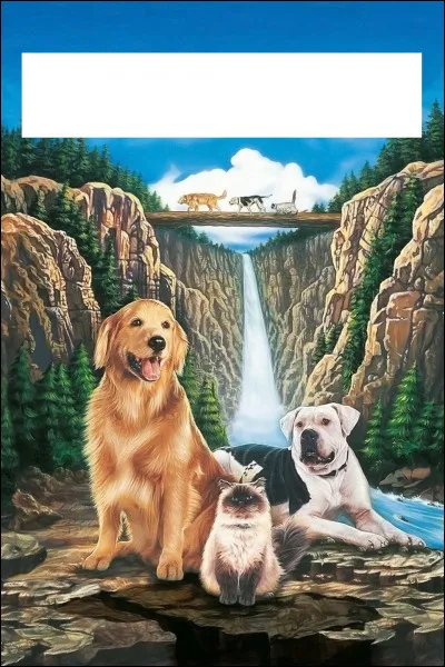 À quel film appartient cette affiche ?