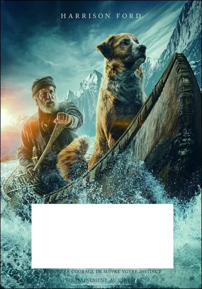 À quel film appartient cette affiche ?