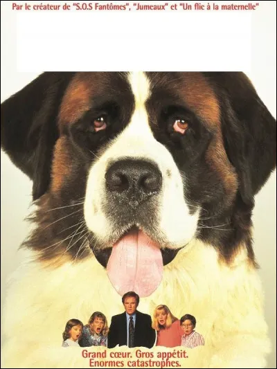 À quel film appartient cette affiche ?