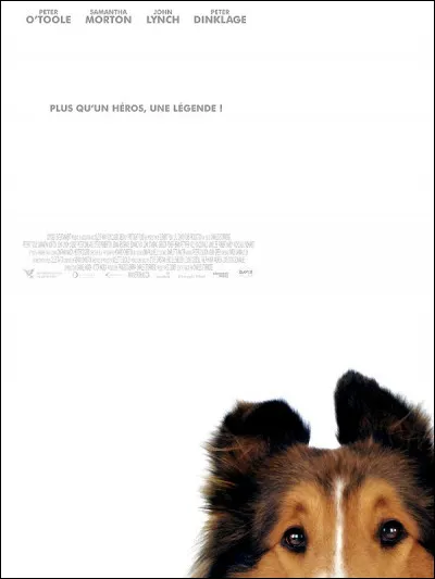 À quel film appartient cette affiche ?