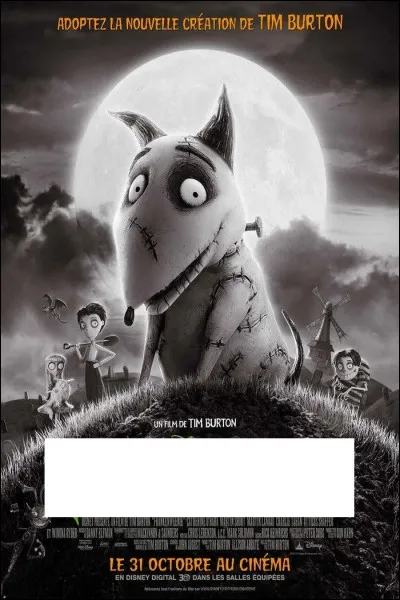 À quel film appartient cette affiche ?