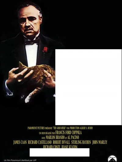 À quel film appartient cette affiche ?