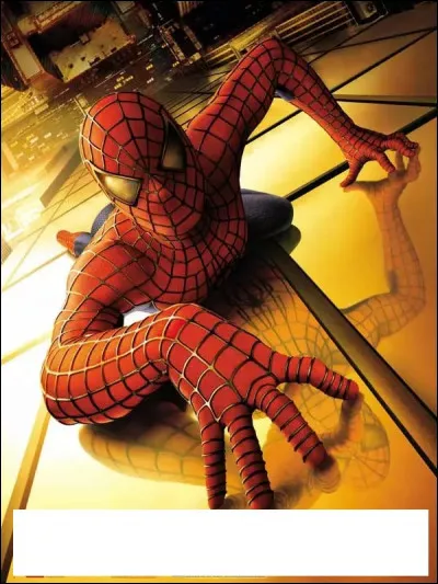 À quel film appartient cette affiche