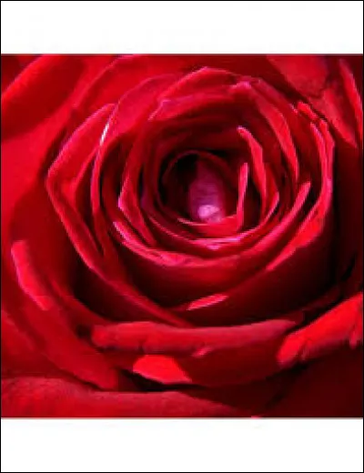 Comment s'appelle cette couleur ?