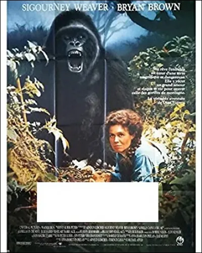 À quel film appartient cette affiche ?