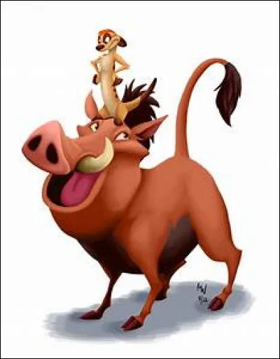 Comment ces deux rigolos se dénomment-ils ?