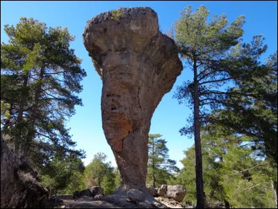 À quel auteur latin doit-on "Les Satires" et sa célèbre formule "Mens sana in Corpore sano (un Esprit sain dans un Corps sain)" ?