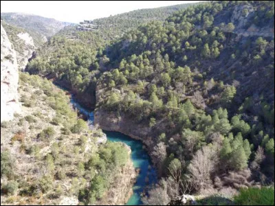 Dans la Bible, durant son dernier repas avant son exécution, que montre Jésus en disant "Mangez, ceci est mon corps" ?