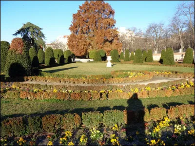 Dans quel organe trouve-t-on le corps spongieux et les corps caverneux ?