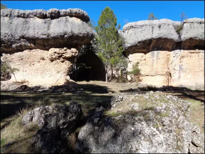 Que signifie l'expression "se lancer à corps perdu" ?