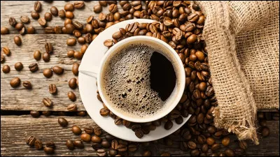 Le cheval digère la caféine.