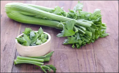 On peut offrir du céleri à un cheval, à condition de ne pas laisser les feuilles.