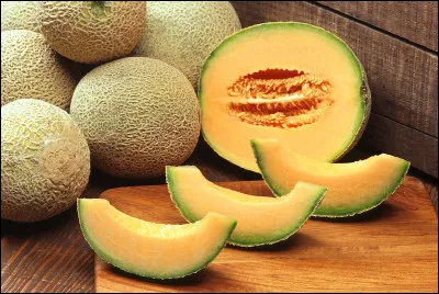 Le melon d'eau, le melon miellat et le melon cantaloup sont des aliments que nous pouvons offrir à nos chouchous en toute sécurité.
