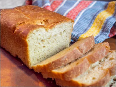 Le pain peut être donné à nos chevaux.