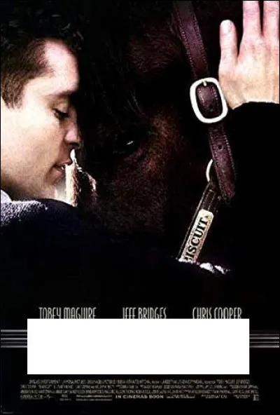 À quel film appartient cette affiche ?