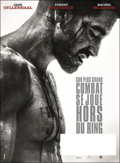 À quel film appartient cette affiche ?
