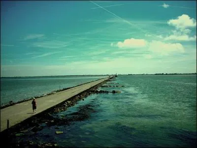 La Passage du Gois relit  marais basse le continent  l'le...