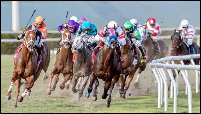 Qu'est-ce qu'un "crack" ?