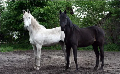 Que veut dire BANC ?