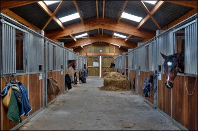 Est-ce possible qu'un cheval soit porteur de la Covid-19 ?